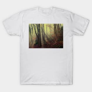 Misty Morning T-Shirt